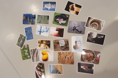 MuuMi koolitus 31.10.2023